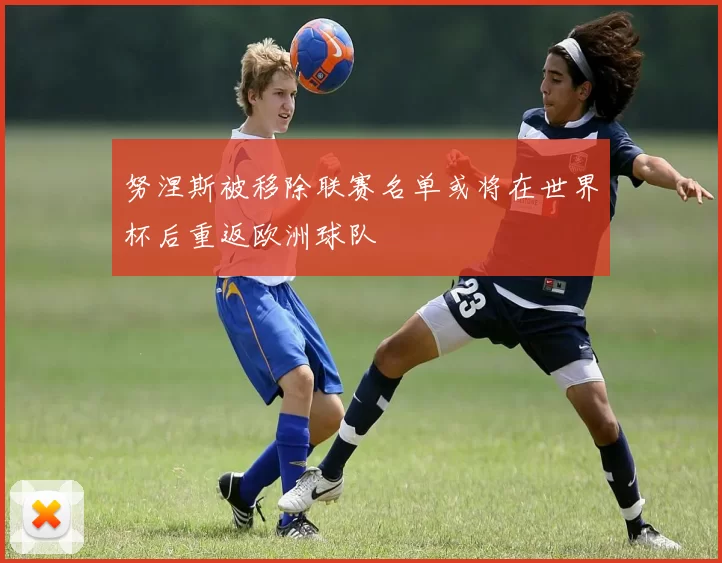努涅斯被移除联赛名单或将在世界杯后重返欧洲球队